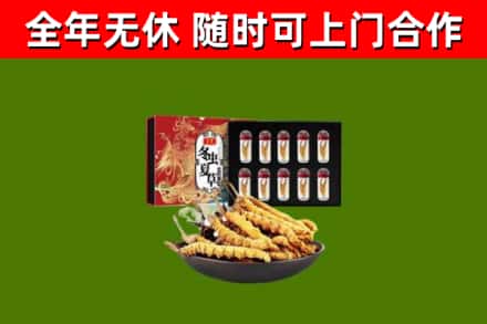 城区回收冬虫夏草价格